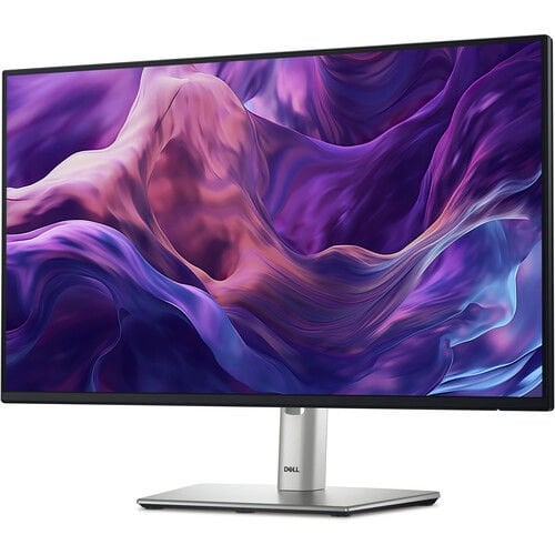DELL 24'' P2425H LED Ekran (1920x1080), IPS Panel